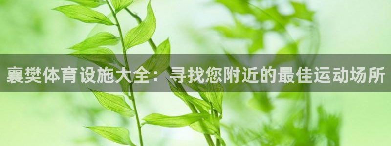 意昂体育3联系电话：襄樊体育设施大全：寻找您附近的最